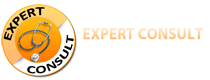 Expert Consultant - Logo Design Services
